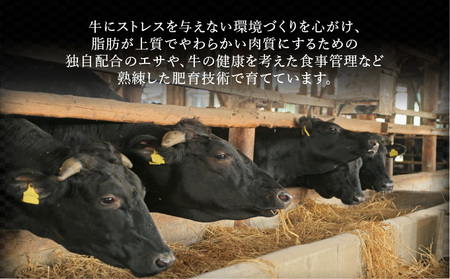 ブランド銘柄「佐賀牛」ヒレステーキ 計1,080g (180g×6枚)