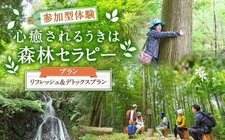 【参加型体験】リフレッシュ&デトックス 心癒されるうきはの森林セラピー ／ 癒やし リフレッシュ 森 うきは市