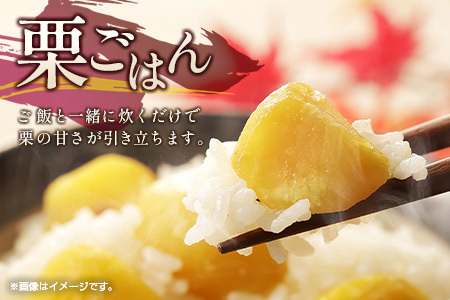 ＜期間限定＞国産 新鮮朝どれ（生栗）3kg お取り寄せ 産地直送 宝珠栗 数量限定 宮崎県新富町産【B670】