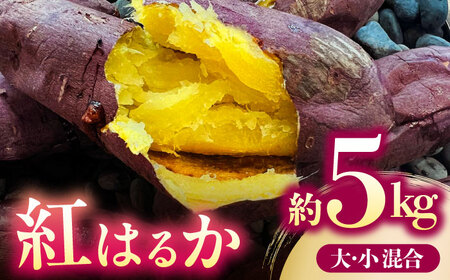 さつまいも 紅はるか 約5kg【株式会社 アグリファーム未来】[ZDN002]