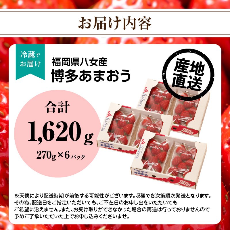 【先行受付：2025年2月発送開始】博多あまおうＧ270g×6パック｜ＪＡふくおか八女