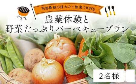 阿部農縁の採れたて野菜でBBQ!農業体験と野菜たっぷりバーベキュープラン 2名様 F7X-0085