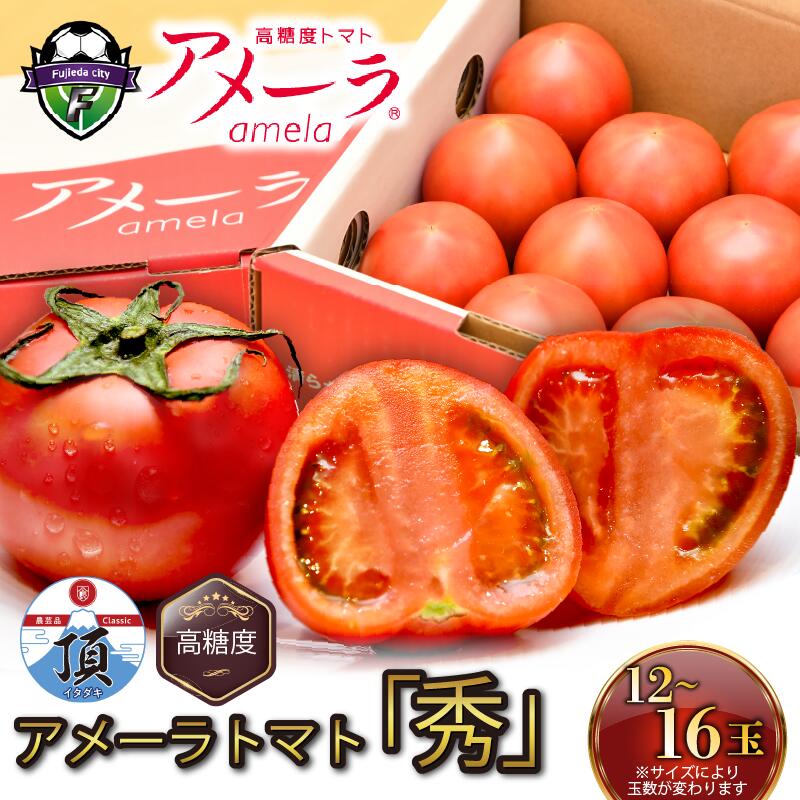 【ふるさと納税】 【選べる配送月】 トマト アメーラ 12-16玉 糖度 7.5以上 甘い 野菜 セット 産地直送 旬 とまと 糖度 フルーツトマト 贈答用 ギフト 特産品 農産物 プレミアム 高級 朝採れ 新鮮 家庭用 贈り物 藤枝市 静岡県