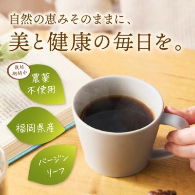 ふるさと納税 飯塚市 福岡県産モリンガ珈琲 |  | 01