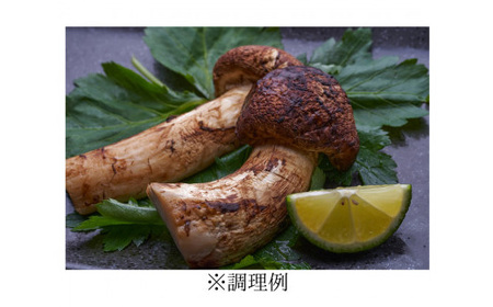 【訳あり】ご家庭用 岩泉まつたけ 直送 1kg_野菜 松茸 きのこ まつたけ マツタケ_【配送不可地域：離島】【1423396】