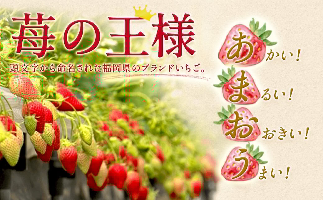 いちご「あまおう」 約270g×2パック 合計 約540g