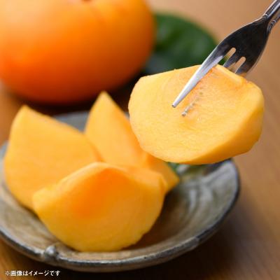 ふるさと納税 八代市 【先行予約】 太秋柿 約2kg(5〜8玉)【2026年10月上旬より順次発送】_229-6595-A |  | 02