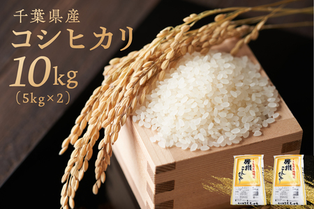 千葉県産コシヒカリ 10kg（5kg×2袋） mi0121-0001 米
