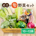 【ふるさと納税】季節の旬野菜セット 新鮮 野菜セット 詰め合わせ 国産 旬 お試し おまかせ お楽しみ A51 一般財団法人 愛の田園振興公社