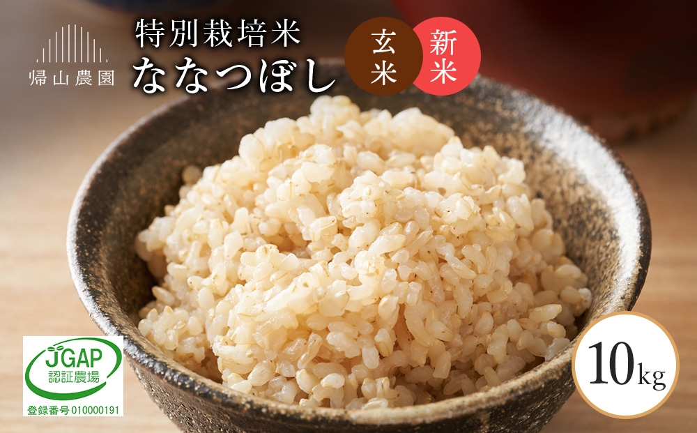 
                  【新米予約】玄米ななつぼし10ｋｇ　箱入《帰山農園》
                