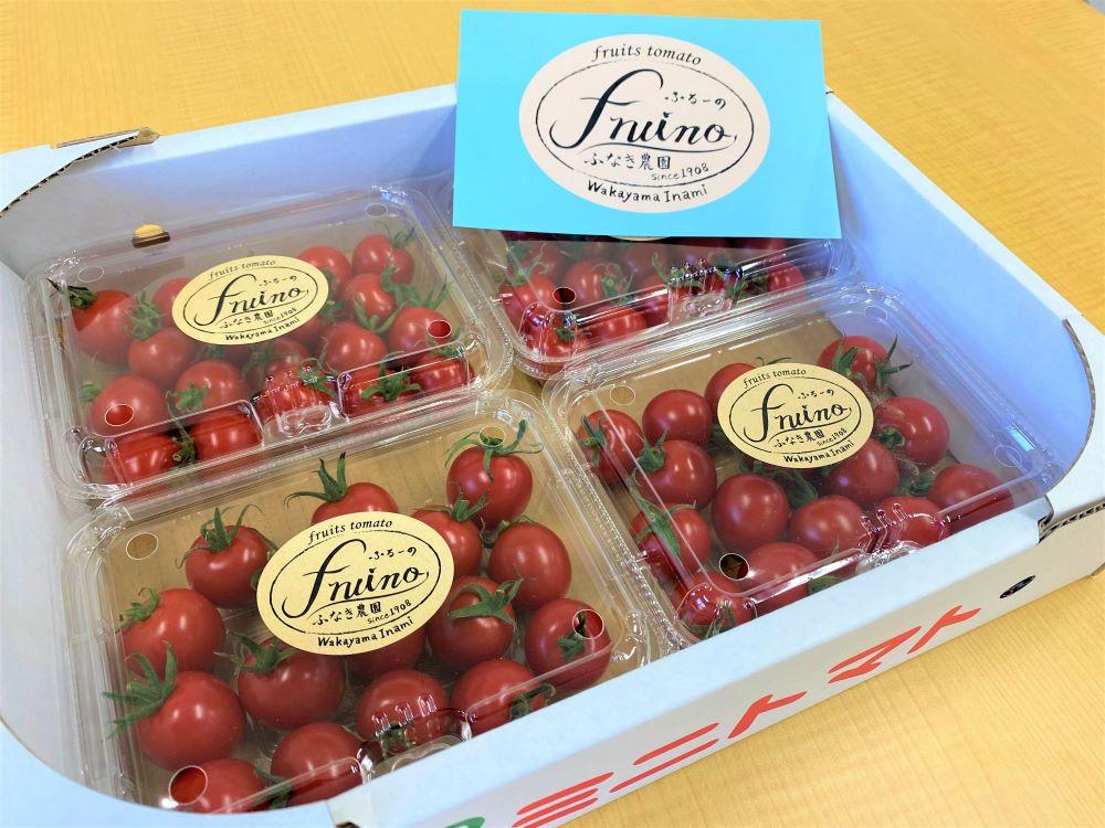 【2026年2月発送】フルーツトマト「fruino ふるーの」1箱（4パック）