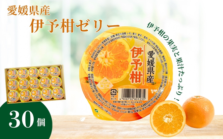 伊予柑ゼリー 30個 大容量 みかん 伊予柑 柑橘 みかんゼリー ゼリー フルーツゼリー 果物 果肉 果汁 数量限定 お菓子 おやつ デザート お取り寄せ スイーツ ギフト 贈答用 プレゼント まとめ買い 愛媛 伊予市 | B260