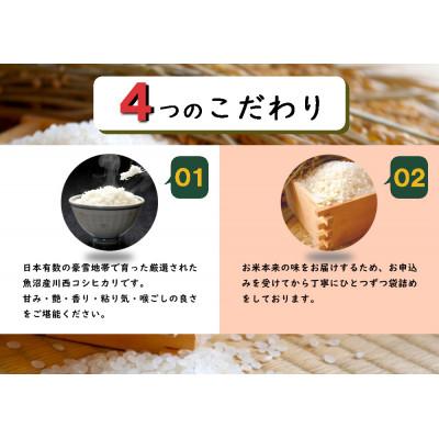 ふるさと納税 十日町市 数量限定　従来品種　魚沼産コシヒカリ　万寿　5kg×2袋　令和8年産米 |  | 01