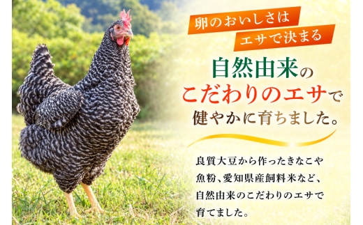 卵 愛知県岡崎産 岡崎おうはん平飼い卵 60個入 卵54個＋割れ保証6個 [ 太田商店 愛知県 岡崎市 ok23bzx020003] たまご 玉子 タマゴ 岡崎おうはん 岡崎 60個