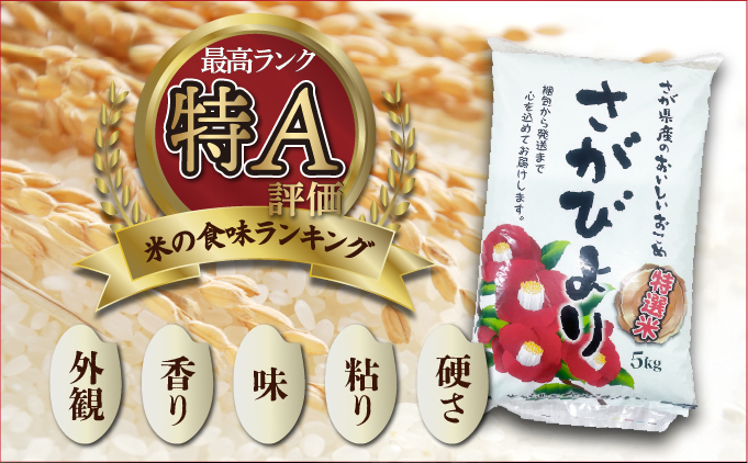 特選米100%!令和7年産さがびより(精白米) 10kg 【D-686-V】