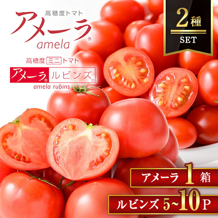【ふるさと納税】＜ 選べる ＞ アメーラトマト 1箱 ＆ アメーラルビンズ (5P or 10P) セット ｜ トマト とまと アメーラトマト アメーラ フルーツトマト アメーラルビンズ ルビンズ ミニトマト 野菜 食品 最高品質 高糖度トマト フルーツロジスティカ 金賞受賞 静岡県 国産