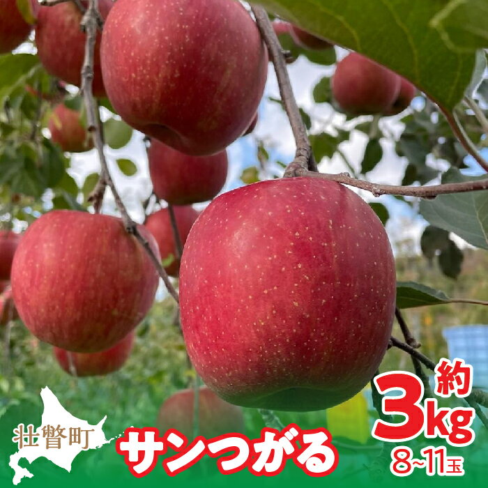 【ふるさと納税】【先行予約】北海道壮瞥町産りんご「サンつがる」約3kg(8～11玉)《2026年9月下旬よりお届け》【 りんご リンゴ 林檎 つがる サンつがる 蜜入り 3kg ジュース 果物 くだもの フルーツ 送料無料 】SBTF001