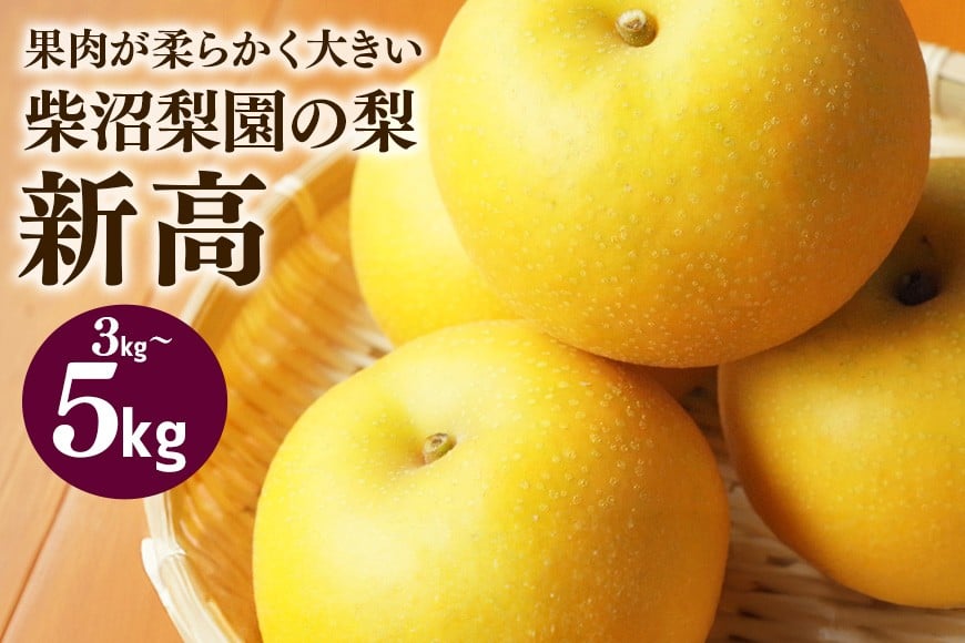 
                  柴沼梨園の梨（新高） 梨 選べる内容量 3kg～5kg 大玉 4～14個入り ナシ なし 国産 茨城 新高梨 秋 旬 フルーツ 果物 先行予約【9月下旬～10月上旬発送】秋の味覚 旬の果物 くだもの 大きい サイズ 品種 新高 産地 茨城県産 家庭用 梨園直送 茨城県 笠間市
                
