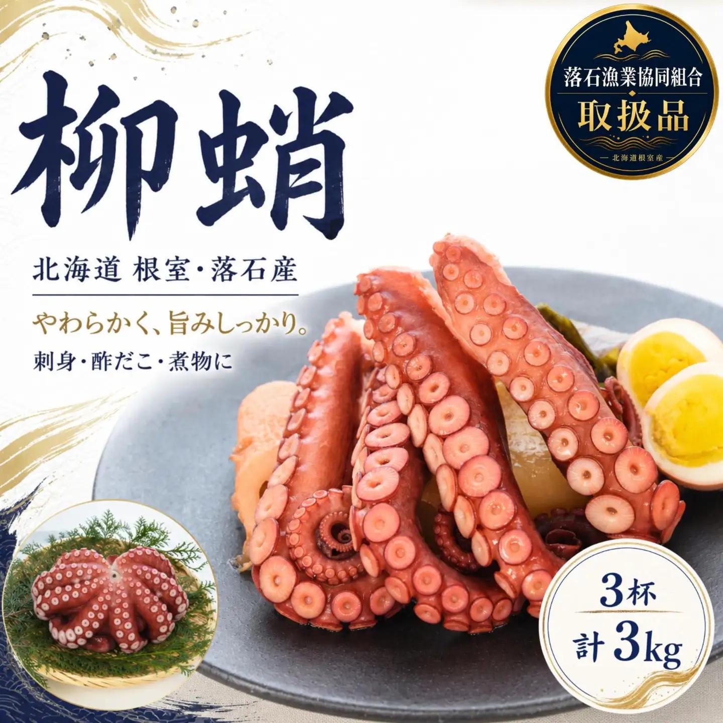 【北海道根室産】柳蛸ボイル3杯(計3kg)[8月上旬以降発送] F-20010