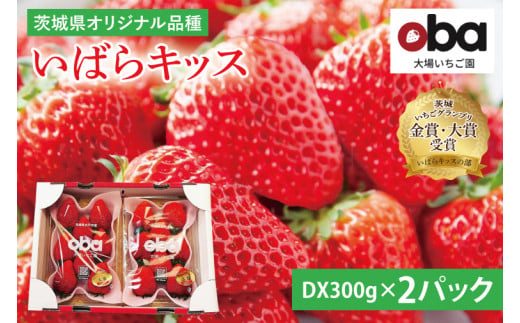 【12月中旬より順次発送】【数量限定】茨城県オリジナル品種『いばらキッス』DX300g×2パック【いちご 苺 フルーツ 果物 くだもの 水戸市 茨城県】（DO-3）