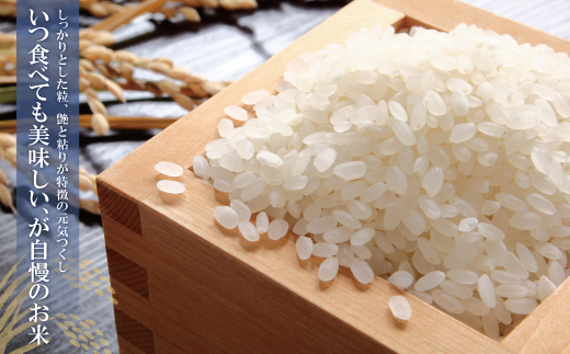 研ぐお米 元気つくし2kg