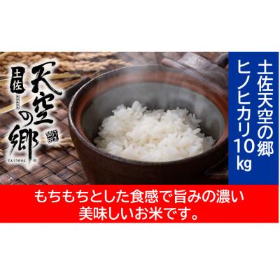 ふるさと納税 本山町 ★令和7年産★　本山町の棚田で育てられた棚田米　「土佐天空の郷ヒノヒカリ」10kg