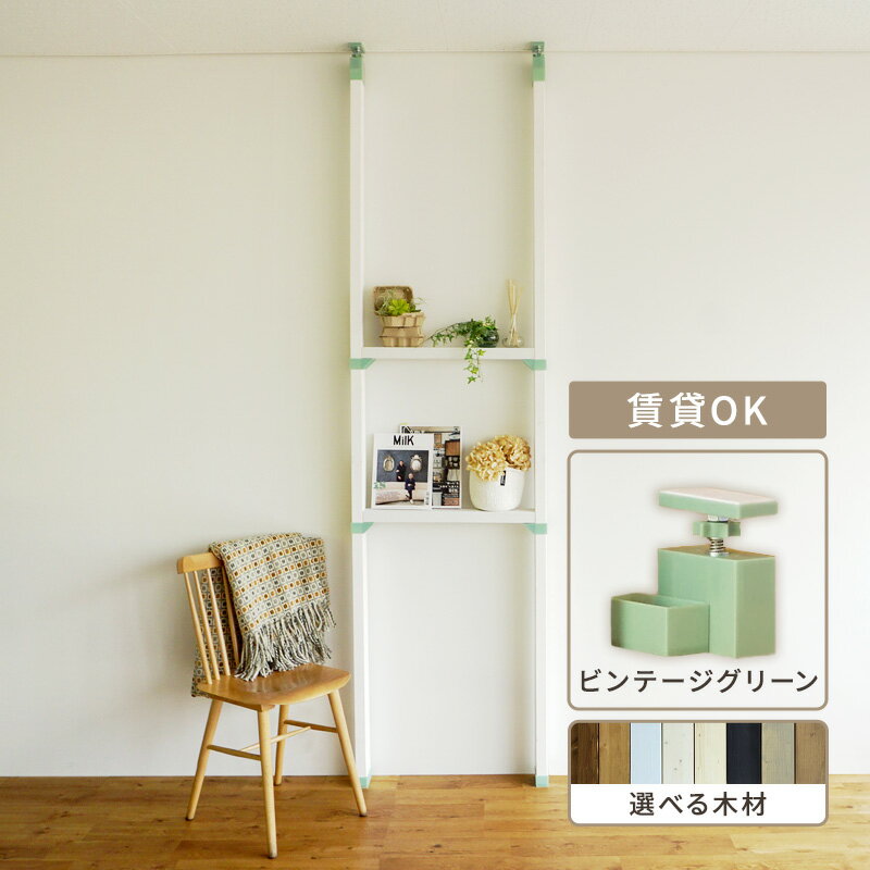 【ふるさと納税】インテリア LABRICO 棚 セット S アジャスター ヴィンテージグリーン 平安伸銅工業 ツーバイ材 ツーバイフォー 棚板 棚受け 壁 壁面 壁面収納 家具 収納 DIY 突っ張り つっぱり棚 固定 賃貸 木 木材 平安伸銅 ラブリコ 兵庫 兵庫県 姫路 姫路市