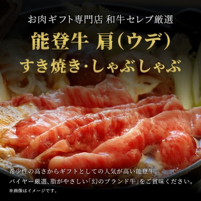 【和牛セレブ】能登牛 牛肩(うで) すき焼き・しゃぶしゃぶ 500g【配送不可地域：離島】