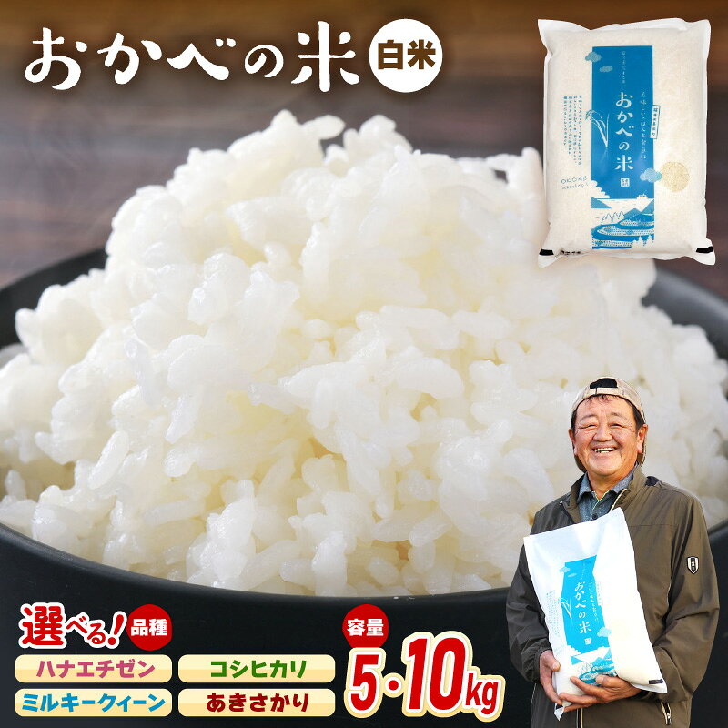【ふるさと納税】令和8年産 愛情たっぷり 健やかに育った 白米 新米 お米【選べる銘柄：コシヒカリ/ミルキークィーン/ハナエチゼン/あきさかり 】ブランド米 kome【選べる内容量：5kg/10kg】コメ こめ おこめ