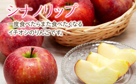  りんご シナノリップ 約3kg 2025年 令和7年度発送分 リンゴ 林檎 長野 フルーツ 果物 信州産 長野県産 特産 産地直送 おすすめ