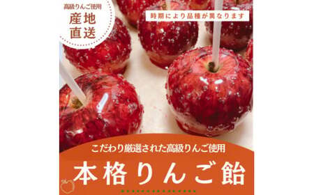 本格 りんご飴 5個 セット  りんご りんご りんご りんご りんご りんご りんご  スイーツ スイーツ スイーツ スイーツ スイーツ 