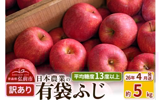 【26年4月発送】りんご 平均糖度13度以上！ 有袋ふじ 約5kg 訳あり CA貯蔵 クール便 青森 果物 フルーツ 林檎 リンゴ くだもの 不揃い 規格外