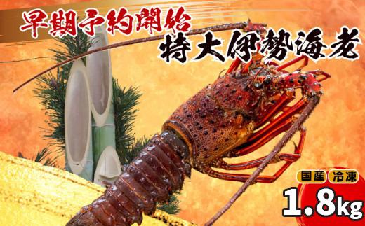 【早期予約】 【12月28日着】 特大 伊勢海老 3匹 1800g ～ 以上 冷凍 ( 特大サイズ 急速冷凍 えび エビ 高級 鮮魚 海鮮 魚介 刺身 焼き物 汁物 ギフト 贈答 贈り物 祝い 歳暮 中元 年末 年始 早期 予約 ) IKY069