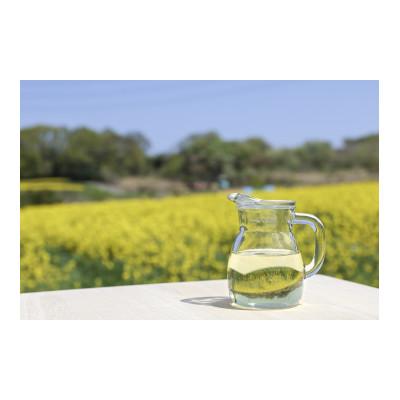 ふるさと納税 豊田市 なのはな油600g×2本(愛知県産菜種100%使用、昔ながらの一番搾り製法) |  | 02