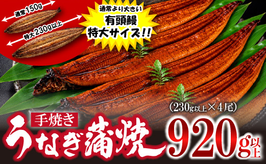 〈いろは〉特大サイズ 有頭うなぎ蒲焼 国産 4尾(920g以上) [M1025] ウナギ 鰻 炭火焼き 肉厚 うな重 ランキング 土用の丑の日 鹿児島県 人気 オススメ 宮若市