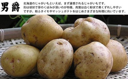 【2026年秋冬発送】北海道 富良野産 じゃがいも(男爵)＆玉ねぎ セット10kg 野菜 いも