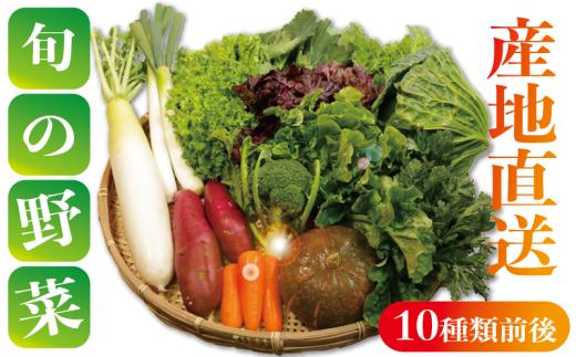 野菜詰め合わせセット 8～10種類 季節の野菜 やさい トマト キャベツ 大根 人参 にんじん サラダ 小松菜 かぶ ほうれん草 ブロッコリー ミニトマト 野菜 野菜セット 新鮮野菜 朝採れ 産地 産地直送 畑 農園 農家 旬な野菜 サツマイモ さつまいも 長ネギ ねぎ 玉ねぎ ブロッコリー 新鮮 国産 銚子産 健康 簡単 贈物 ギフト 贈答 送料無料 ふるさと納税 千葉県 銚子市 孝農園