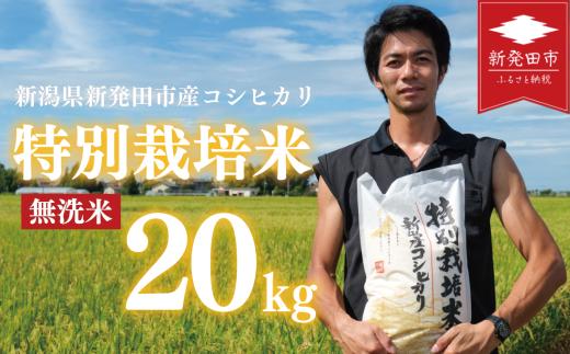 先行予約 コシヒカリ 無洗米 20kg 令和7年産 特別栽培米 こしひかり 米  お米 こめ 新潟米 新潟県産 新潟産 新潟 新潟県 新発田産 新発田 新発田市 斗伸 toushin025