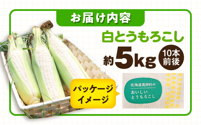 【2026年8月下旬以降順次発送】 とうもろこし 白（白）5kg  |  とうもろこし とうきび トウモロコシ コーン 野菜 やさい 北海道 産地直送 |  道の駅 真狩フラワーセンター [BPAM0