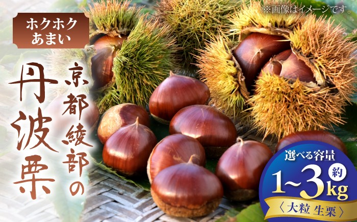 
                  【選べる容量】丹波栗 約1kg（生栗） / 栗 フルーツ ギフト 綾部市 / 旭町観光栗林園［BSBP001］
                