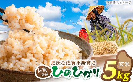 【先行予約 2026年10月～発送】ヒノヒカリ 玄米 5kg / お米 [IDG004]