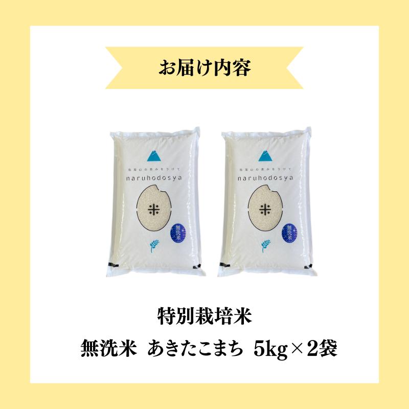 【令和7年産新米】【無洗米】特別栽培米あきたこまち5kg×2 米 コメ こめ 秋田県産 国産米
