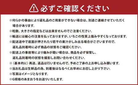 【3回定期便】あまおう 3パック あまおう いちご イチゴ 苺 果物 くだもの フルーツ【2025年1月下旬～3月下旬発送予定】
