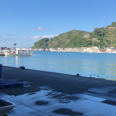 ふるさと納税 八幡浜市 八幡浜発! 竹中水産の「ノドグロー匠の天日干し」1kg前後【H22-218】 |  | 02