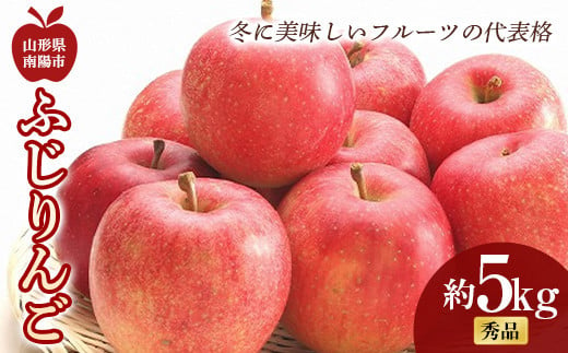 【令和6年産先行予約】 ふじりんご 約5kg (10～18玉 秀品)  《令和6年11月中旬～12月下旬発送》 『フードシステムズ』 山形県 南陽市 [851-R6]