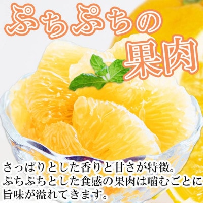 【2026年3月以降発送】さっぱりみずみずしいサンフルーツ(甘夏)5kg【訳あり】【C25−214】【1612630】