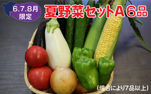 【予約受付/2025年6月発送開始】夏野菜セットA 6品 以上 季節 旬 夏 野菜 岩手県 北上市 A0343 葉物 果菜 根菜 冷蔵 野菜室 ダイエット 食 加工品 季節限定 稀少 数量限定 とうもろこし ヤングコーン ブロッコリー レタス ズッキーニ ケール ブルーベリー きゅうり ミニ トマト ピーマン 玉ねぎ 大根 インゲン オクラ つるむらさき 枝豆 モロヘイヤ ししとう なす