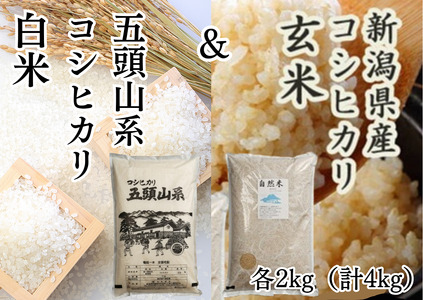 【令和7年産新米予約】「米屋のこだわり阿賀野市産」コシヒカリ玄米＆白米 各2kgセット 10月下旬より順次発送 1E10018