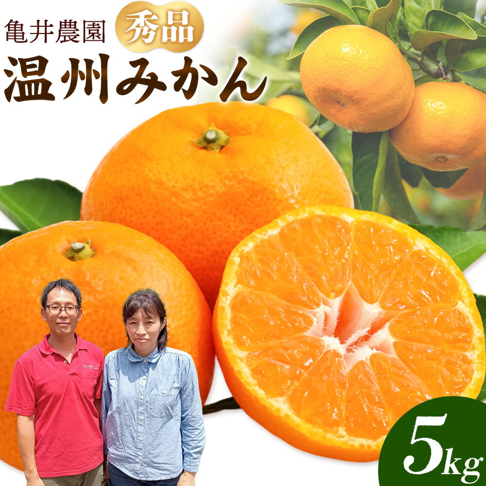 【ふるさと納税】温州みかん 約5kg 秀品 亀井農園 《11月上旬-1月中旬出荷予定(土日祝除く)》和歌山県 日高川町 柑橘類 柑橘 果物 フルーツ ミカン みかん 温州