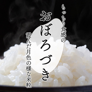 令和7年産 北海道 岩見沢市産 おぼろづき 精米 5kg ≪沖縄・離島配送不可≫ a124-034-R7